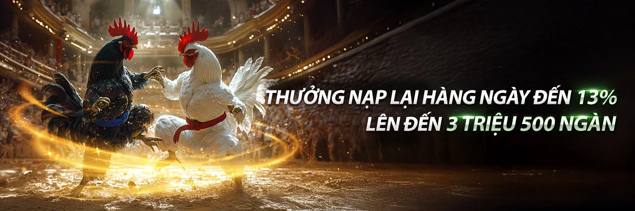 Hình nền đá gà trực tiếp 3/11